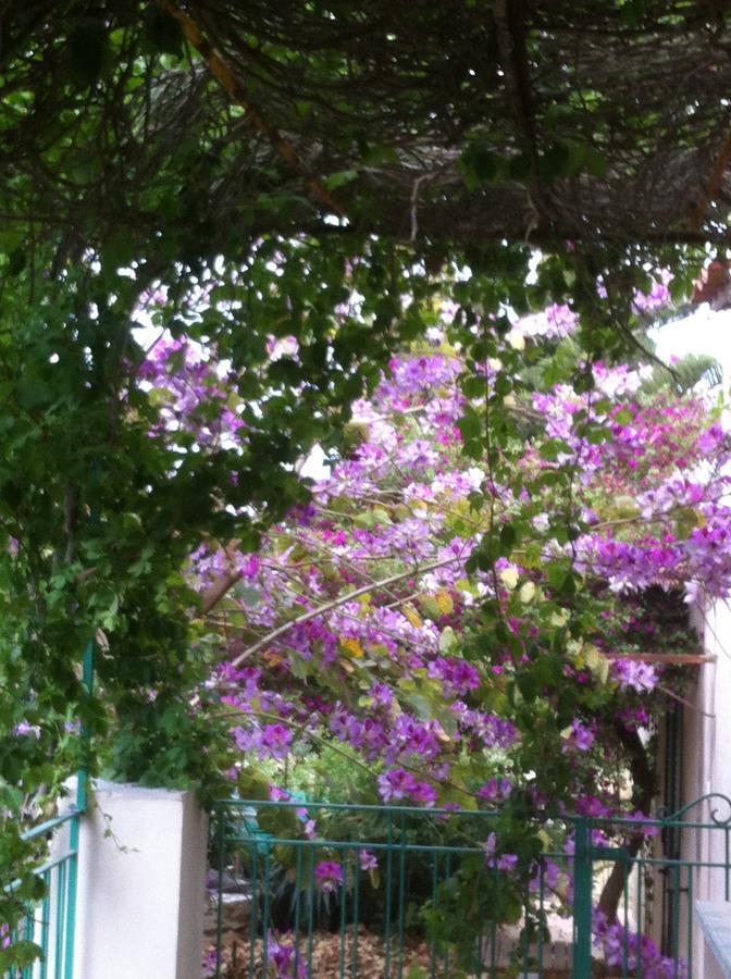 La Fattoria Guest House Sciacca Ngoại thất bức ảnh