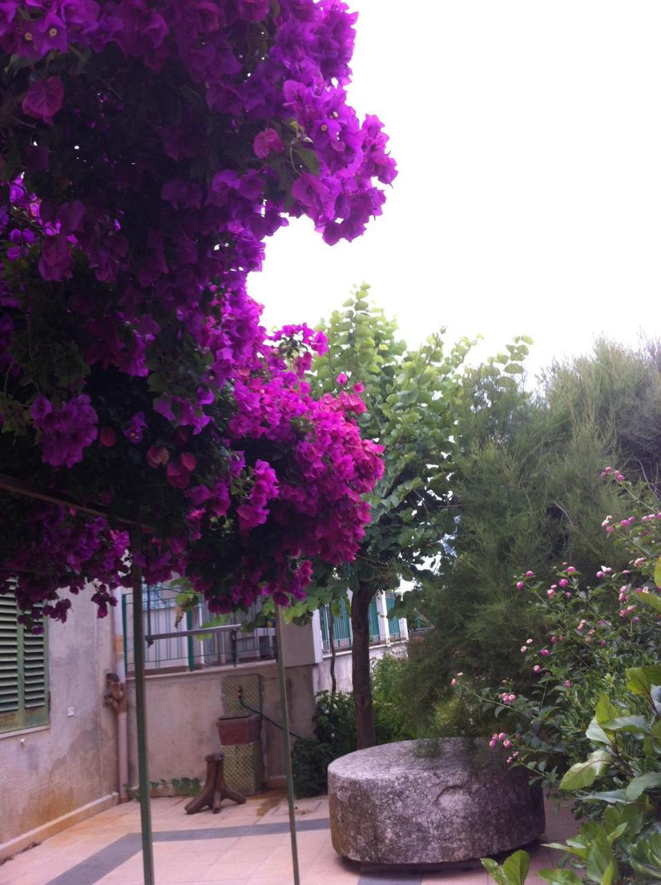 La Fattoria Guest House Sciacca Ngoại thất bức ảnh